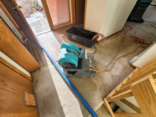 Best Flood restoration services  in Eastland, TX