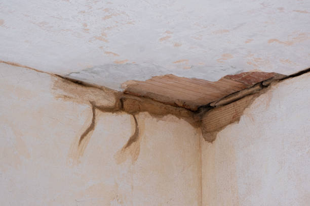 Best 24/7 water damage repair  in Eastland, TX