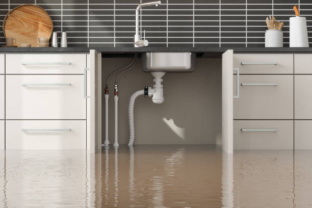 Best Fire Damage Restoration  in Eastland, TX