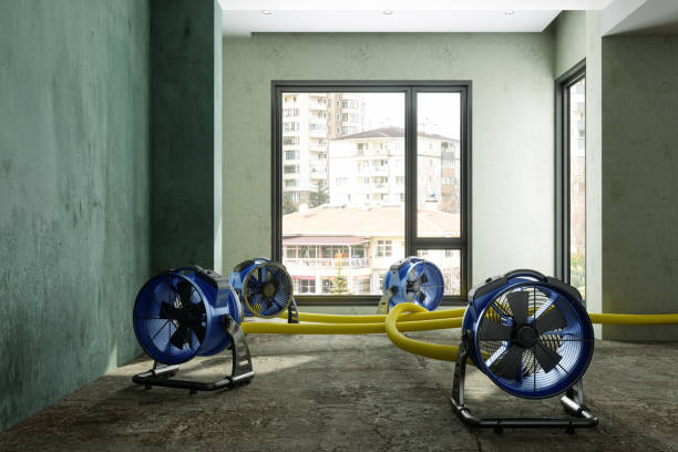 Best Ceiling water damage repair  in Eastland, TX